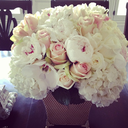 rosy-pleasures-blog avatar