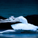 rosyballet-dreams-blog avatar