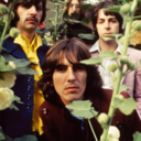 rosypaul-blog avatar