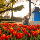 rosyworldever avatar