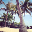 rosyysparks-blog avatar