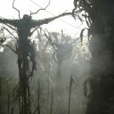 rotating-pebbles avatar