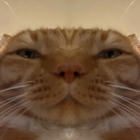 rottedpumpkinzz avatar