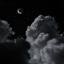 rottedroleplays avatar