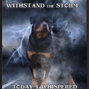 rottiedogfarts avatar