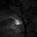 rotting-cherubim avatar