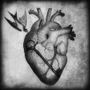 rotting-earth avatar