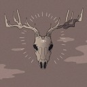 rotting-elk avatar