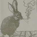 rotting-witch avatar