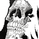 rotting2-anyone avatar