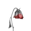 rottingredrose avatar