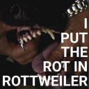 rottweilerr avatar