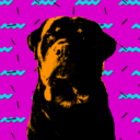 rottweilerworks avatar