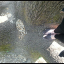 rougeraspberry avatar