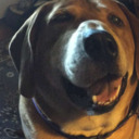 round-a-bout-sound-a-bout avatar