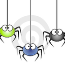 roundedspider avatar