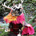 rovingromy-blog avatar