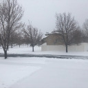 rowan-berriesss avatar