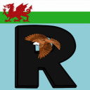 rowansparrow avatar