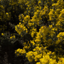 rowanstonephotography-ii avatar