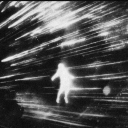 rows-of-trees avatar