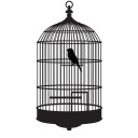 roxannarosefinch avatar