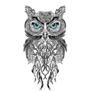 royal-frenzy91 avatar