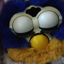 royalfurby avatar
