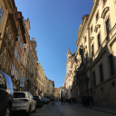 royalglitchpredator avatar