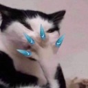 royallypurple avatar