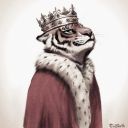 royalstraycat avatar