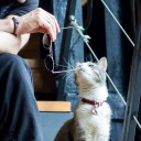 royalvkustax-blog avatar