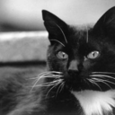 rozegeest-blog avatar