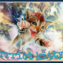 rrriot-kitty avatar