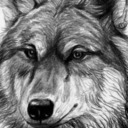 rsanchez4677 avatar