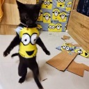 rsting-sadface avatar