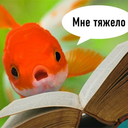 ru-memes-for-linguists-blog avatar