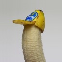 ruadaamendoeira avatar