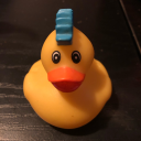 rubber-duck-obsessed-boi avatar