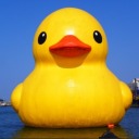 rubber-duck-of-doom avatar