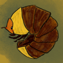 rubber-ducky-isopod avatar