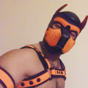 rubberkuma avatar