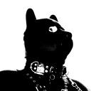 rubberpuppytoy avatar