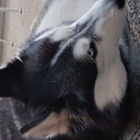 rubberube-blog avatar