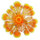 rubbleinrainbows avatar