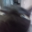 rubixcube1521 avatar