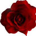 rubricarubricata avatar