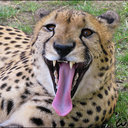 rubricpensky-blog avatar