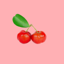 ruby-acerola avatar