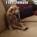 rubyeyedbunny avatar